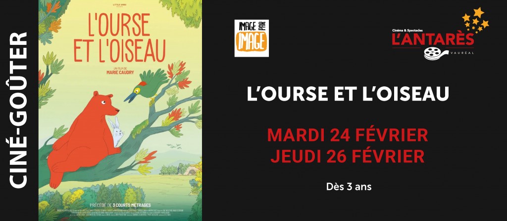 actualité IMAGE PAR IMAGE : L'OURSE ET L'OISEAU